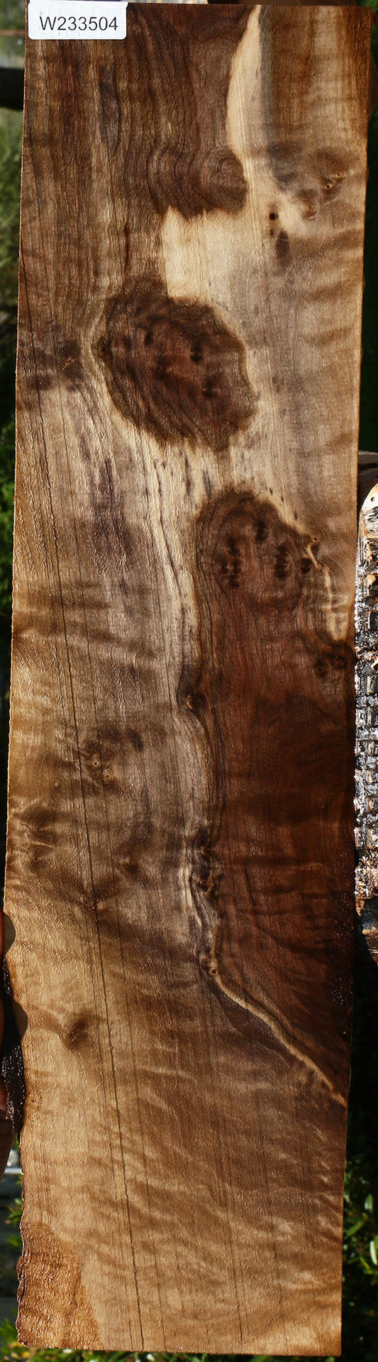 Extra Fancy Claro Walnut Burl Lumber