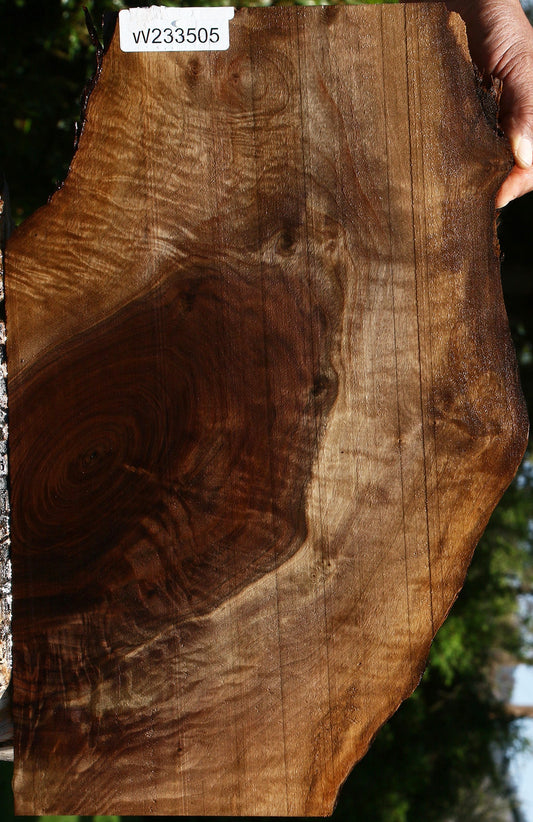 Extra Fancy Claro Walnut Live Edge Lumber
