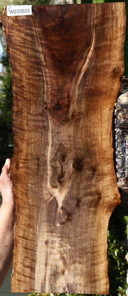 Extra Fancy Claro Walnut Live Edge Lumber