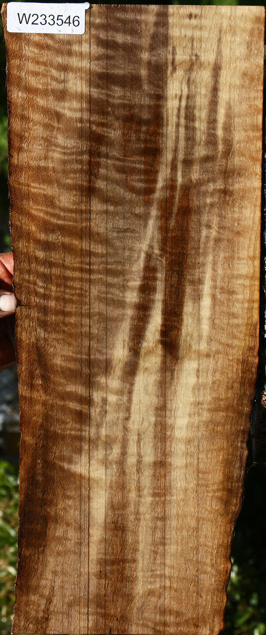 Figured Claro Walnut Live Edge Lumber