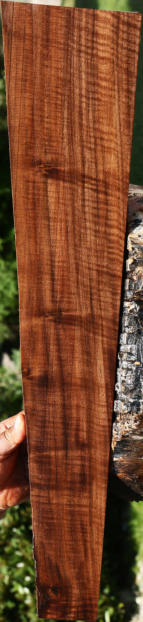 Extra Fancy Claro Walnut Lumber