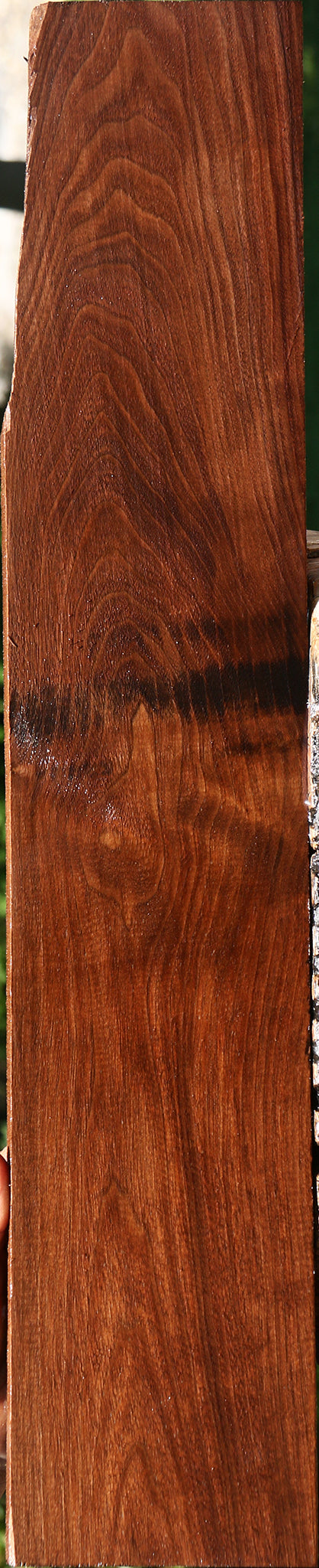 Claro Walnut Lumber