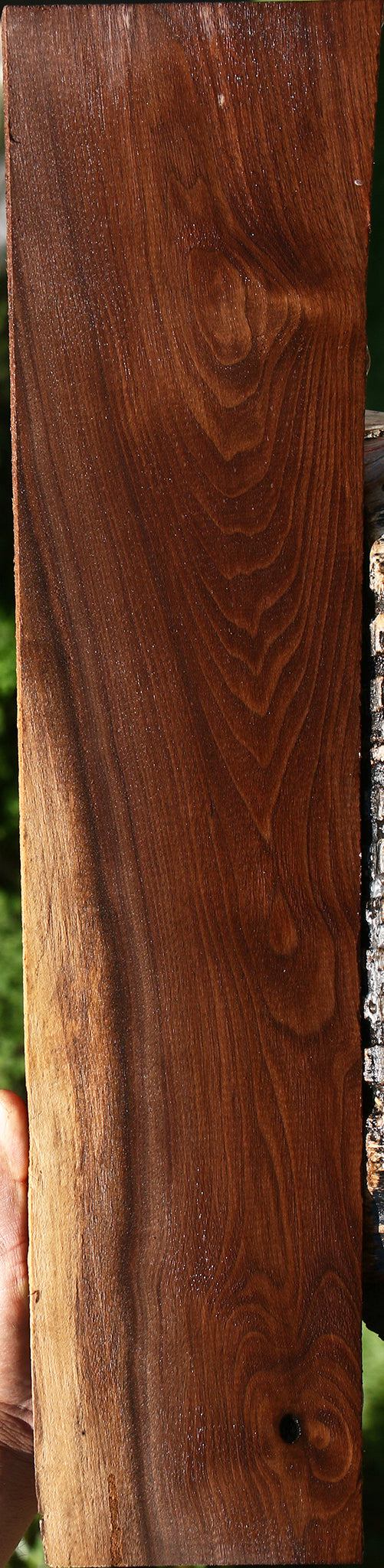 Claro Walnut Lumber
