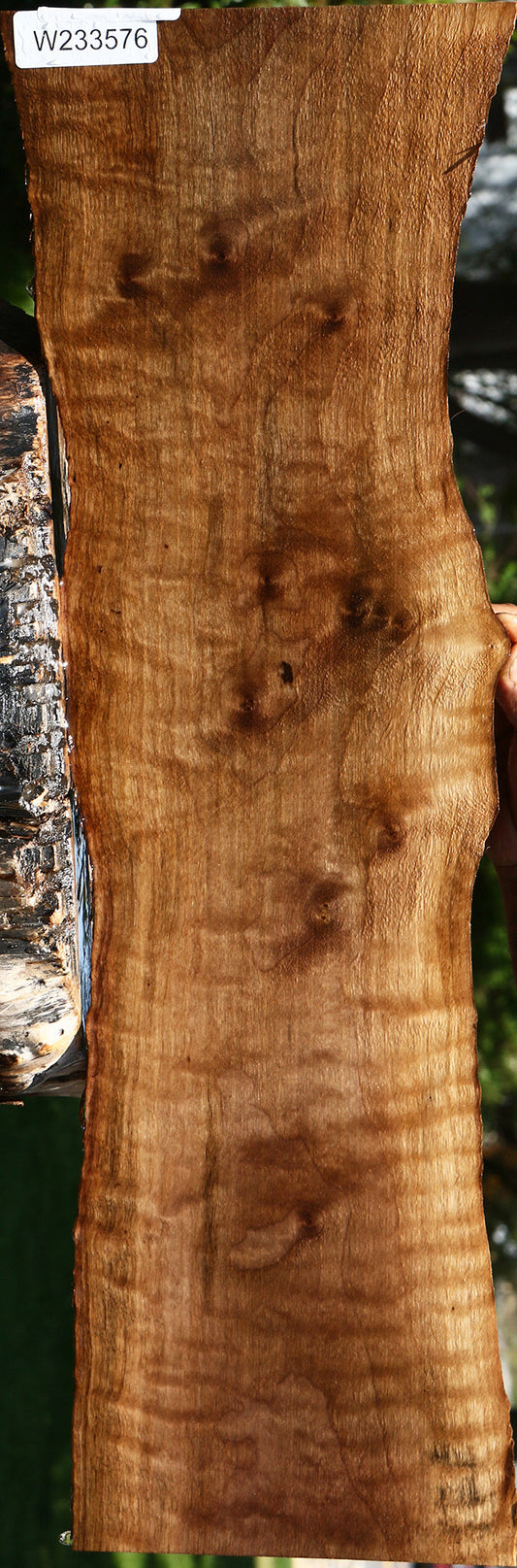 Figured Claro Walnut Live Edge Lumber