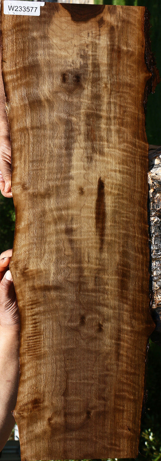 Figured Claro Walnut Live Edge Lumber