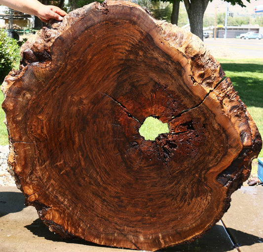 Extra Fancy Rustic Claro Walnut Cookie