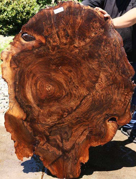 Extra Fancy Rustic Claro Walnut Cookie