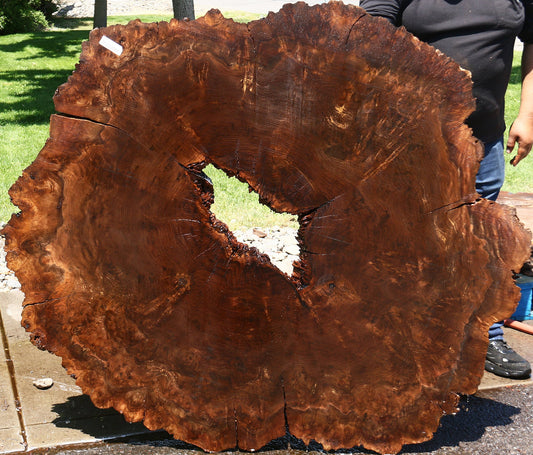 Extra Fancy Rustic Claro Walnut Cookie