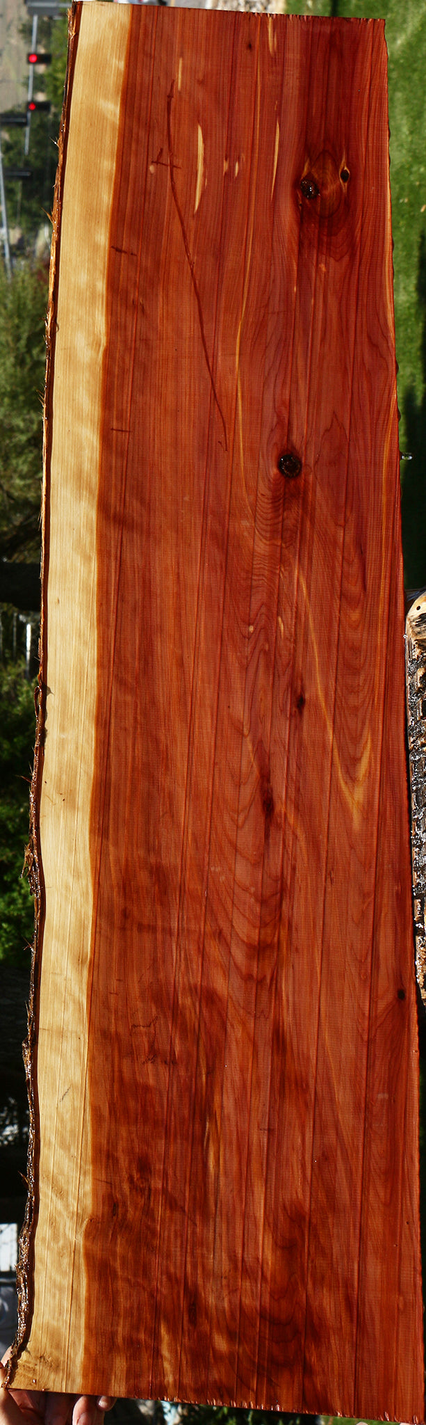 Eastern Red Cedar Live Edge Lumber