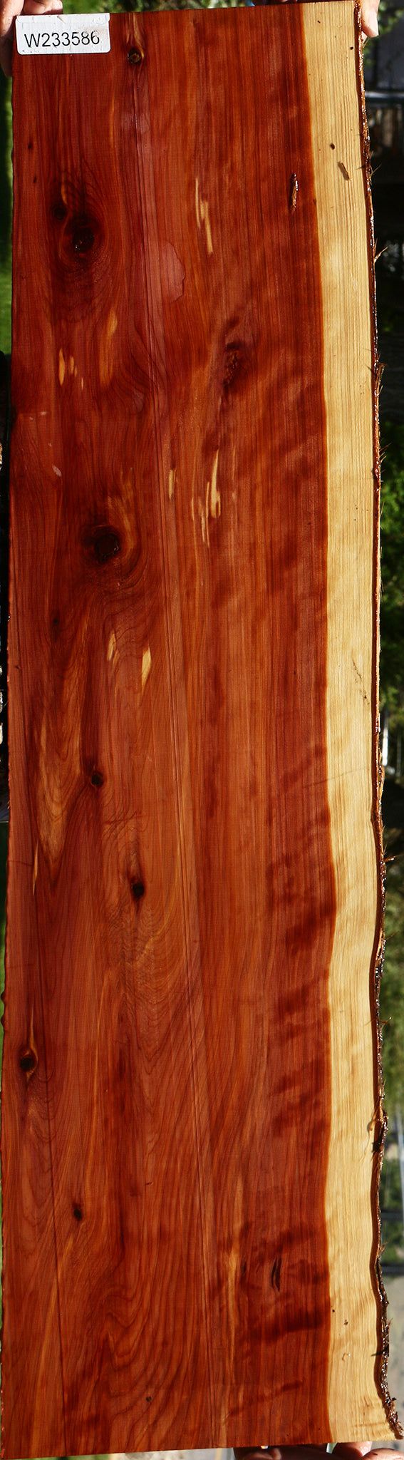Eastern Red Cedar Live Edge Lumber