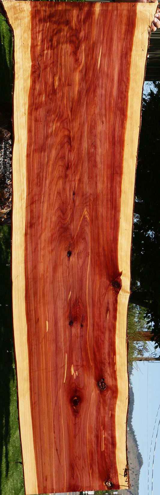 Extra Fancy Eastern Red Cedar Live Edge Lumber