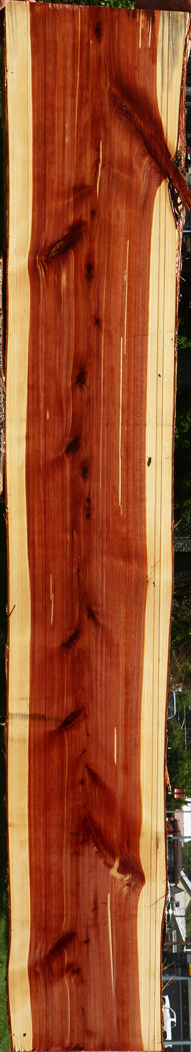 Eastern Red Cedar Live Edge Lumber