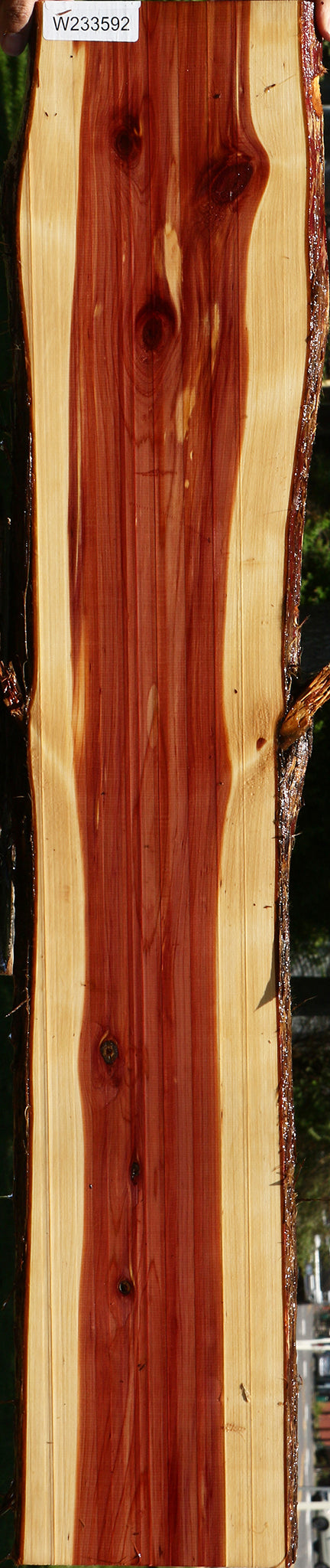 Eastern Red Cedar Live Edge Lumber