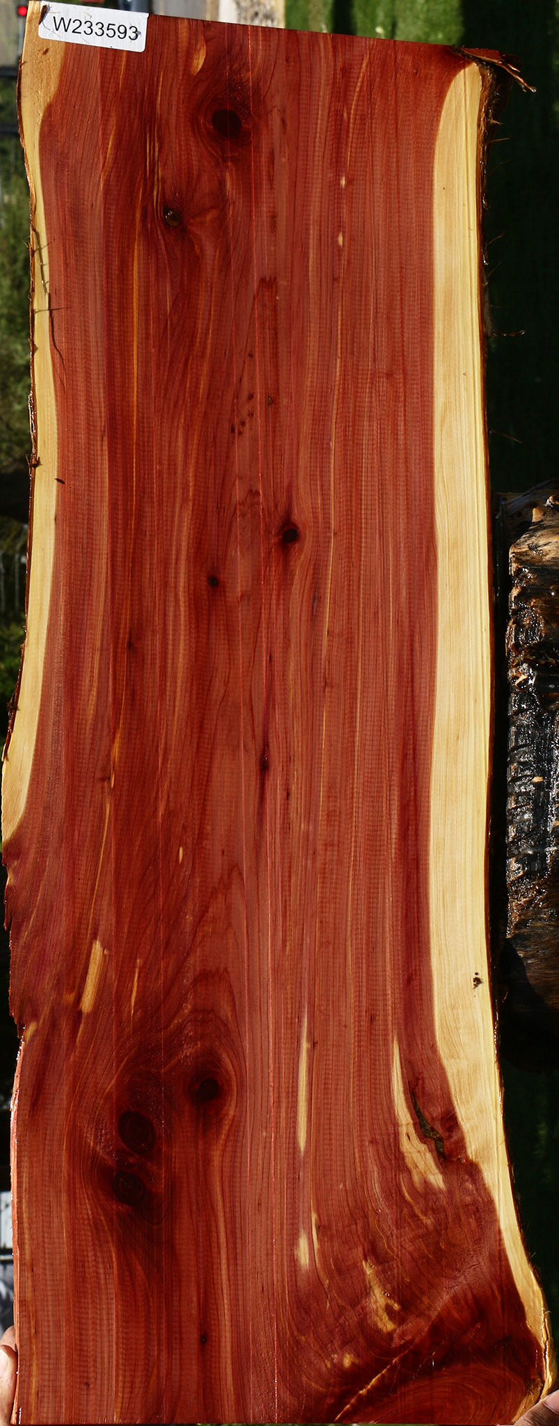 Eastern Red Cedar Live Edge Lumber