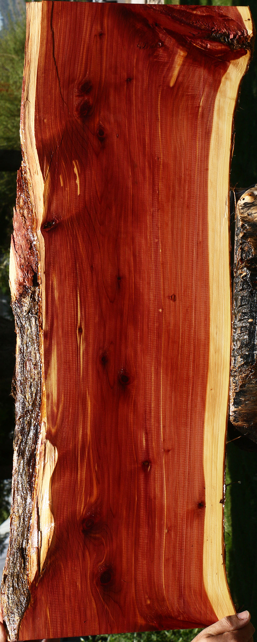 Eastern Red Cedar Live Edge Lumber
