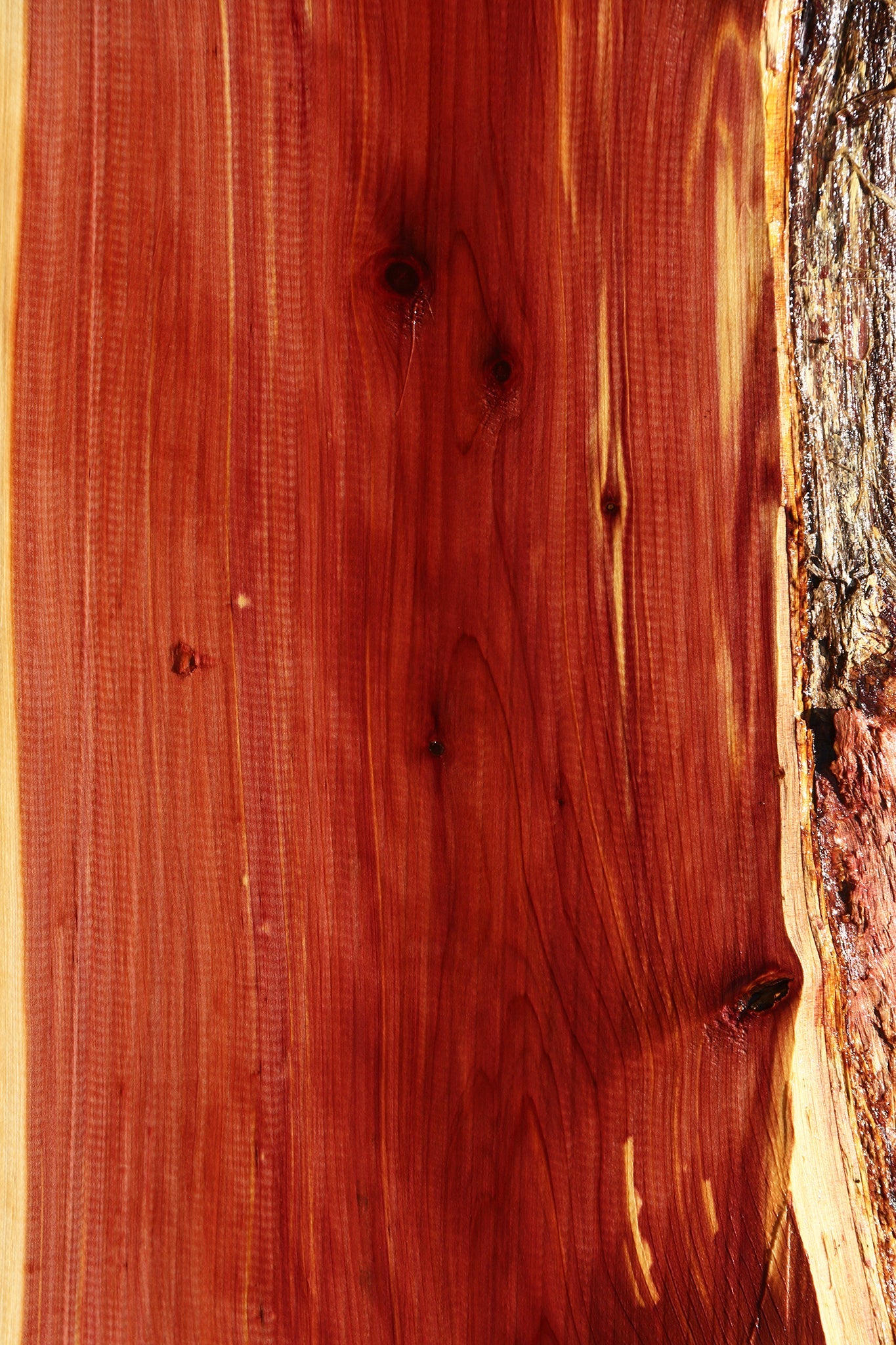 Eastern Red Cedar Live Edge Lumber