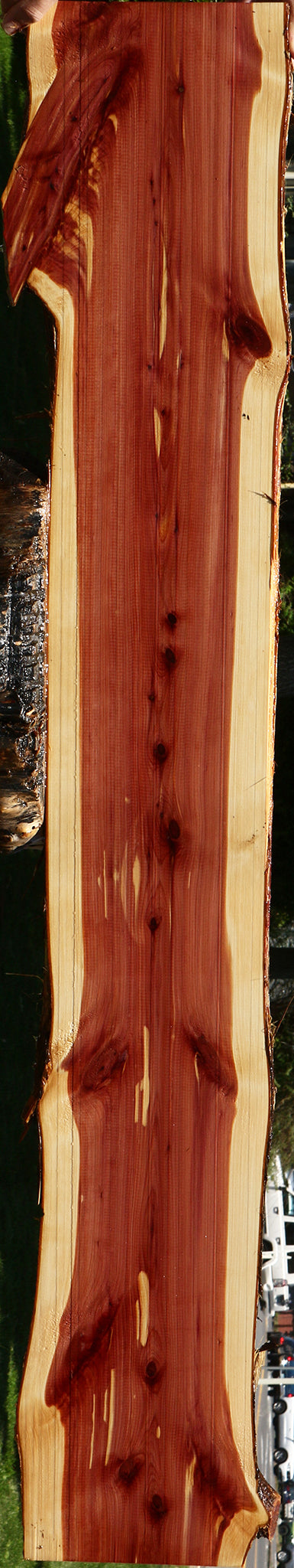 Eastern Red Cedar Live Edge Lumber