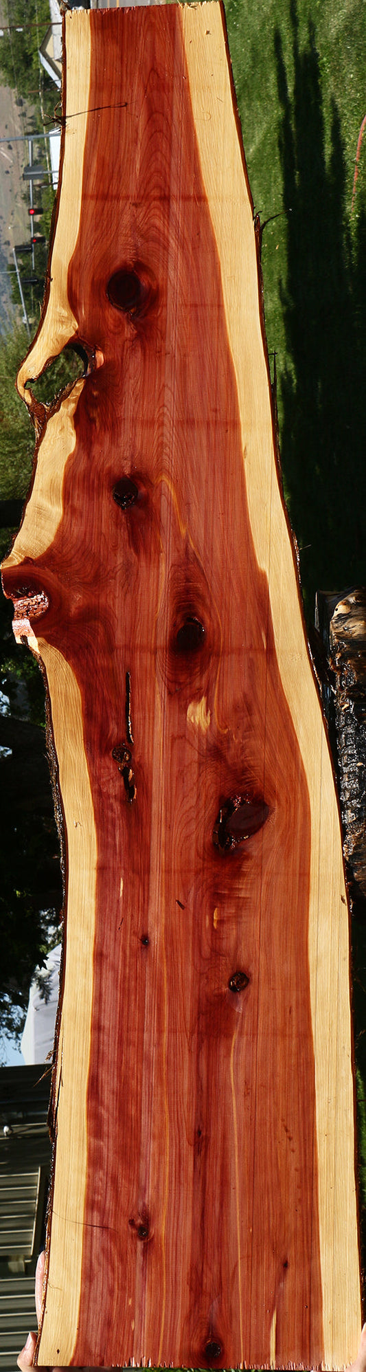 Eastern Red Cedar Live Edge Lumber