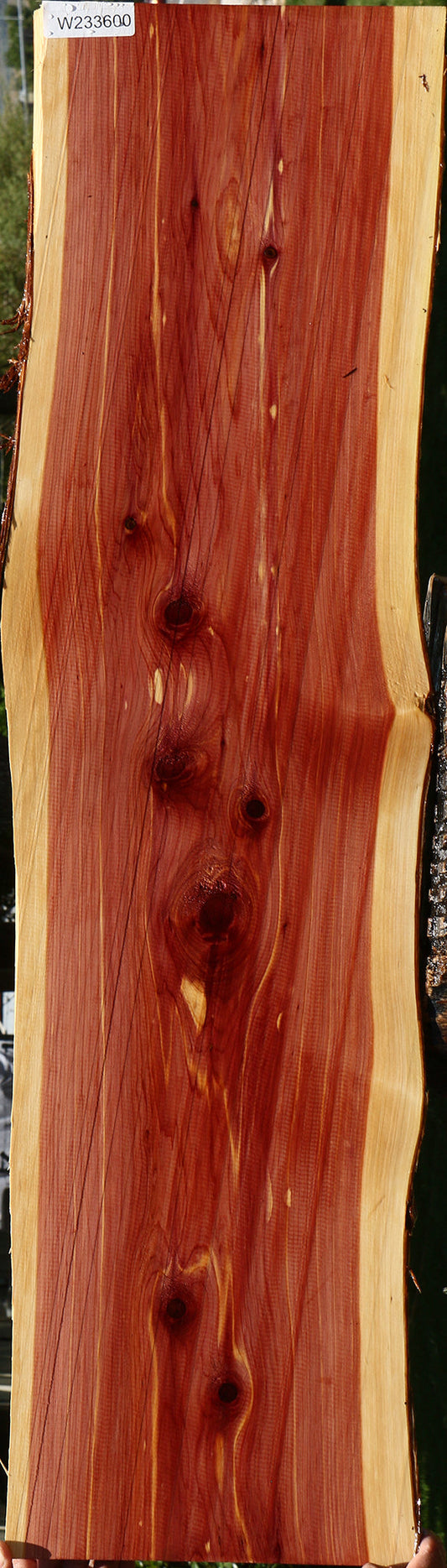 Eastern Red Cedar Live Edge Lumber