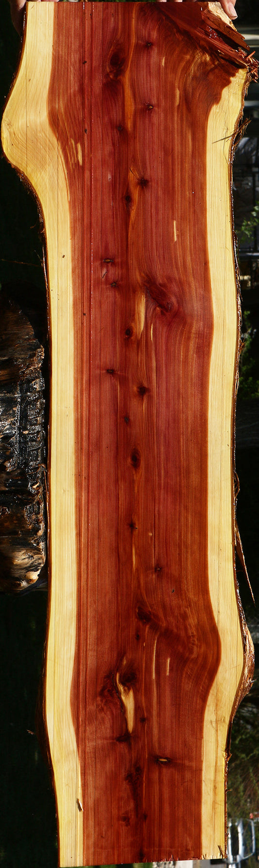 Eastern Red Cedar Live Edge Lumber