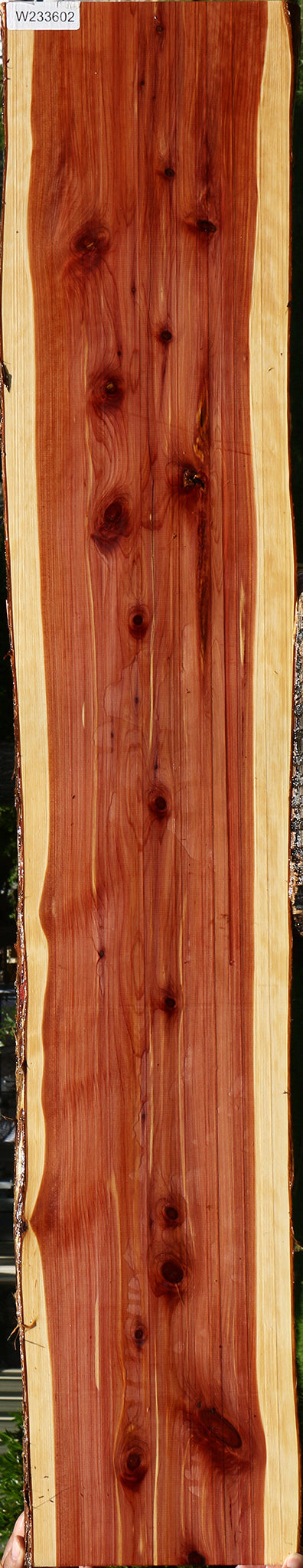 Eastern Red Cedar Live Edge Lumber