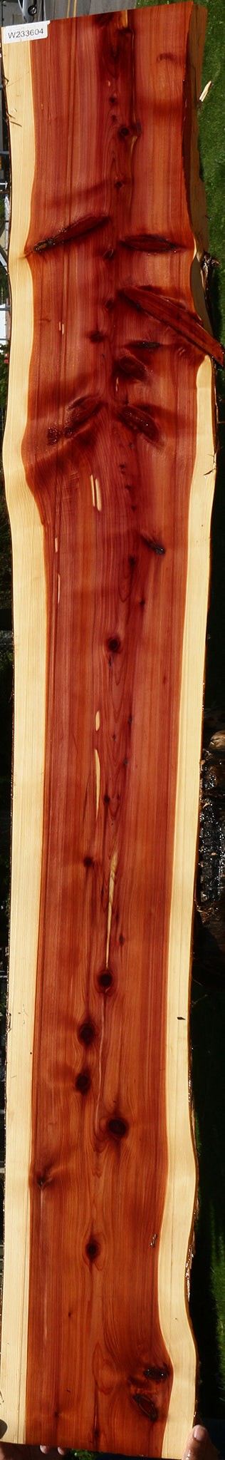 Eastern Red Cedar Live Edge Lumber