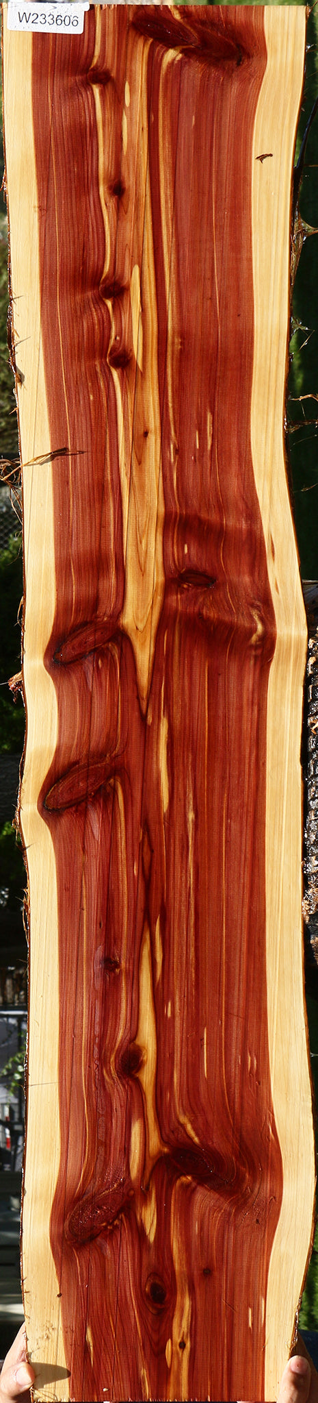 Figured Eastern Red Cedar Live Edge Lumber