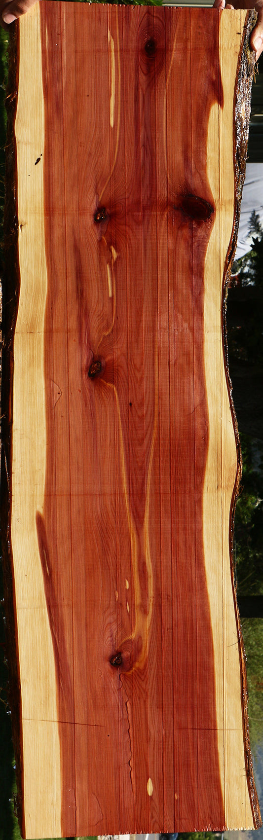 Eastern Red Cedar Live Edge Lumber