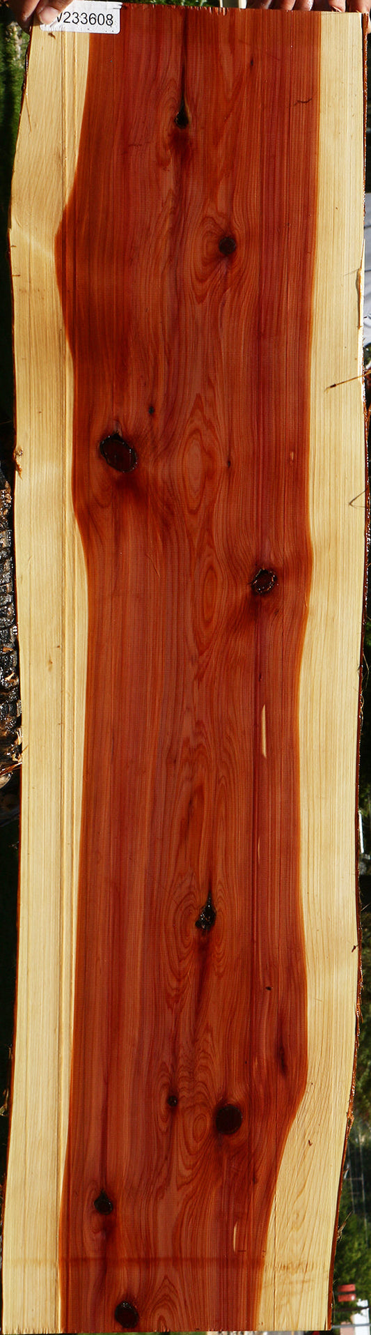 Eastern Red Cedar Live Edge Lumber