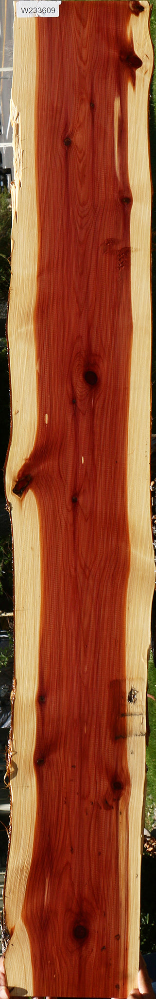 Eastern Red Cedar Live Edge Lumber
