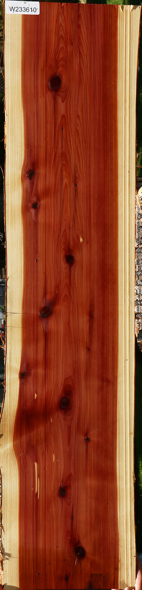 Eastern Red Cedar Live Edge Lumber