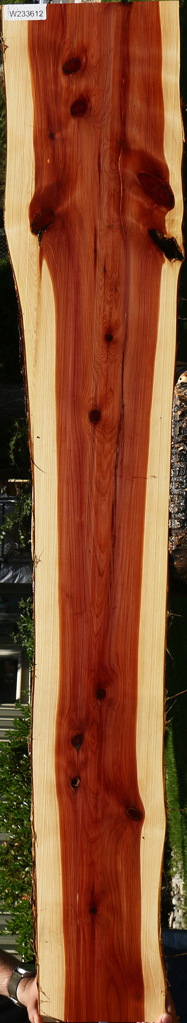 Eastern Red Cedar Live Edge Lumber