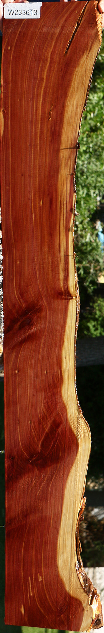 Eastern Red Cedar Live Edge Lumber