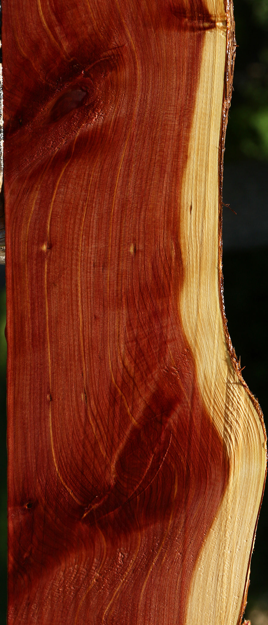 Eastern Red Cedar Live Edge Lumber