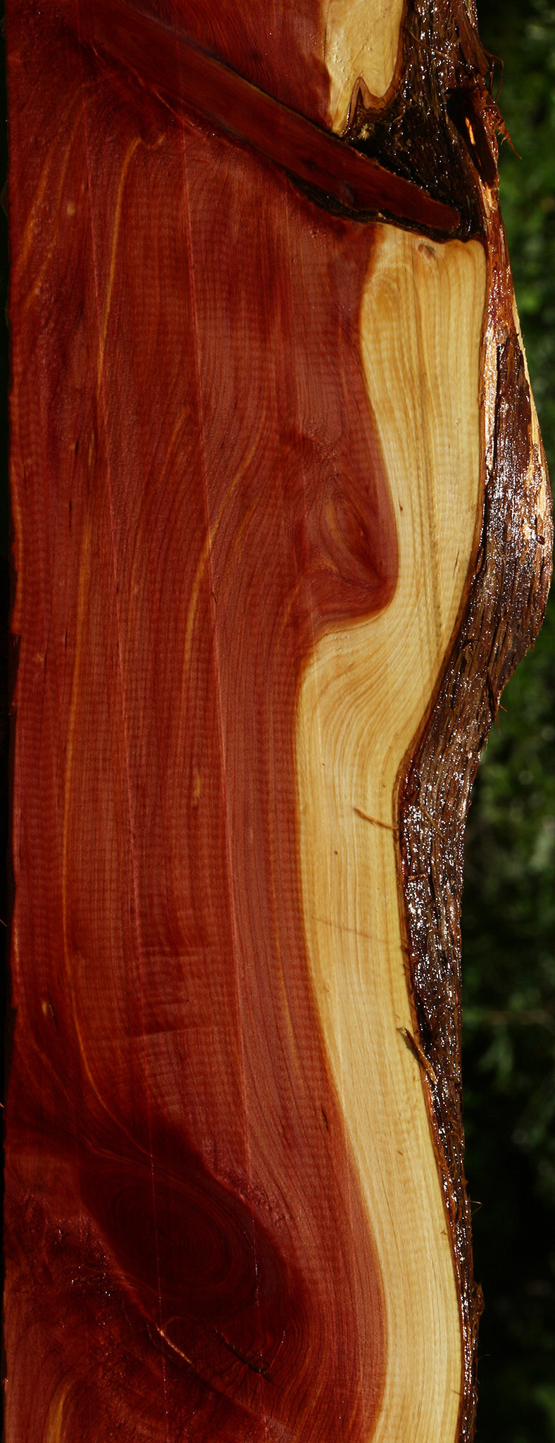 Eastern Red Cedar Live Edge Lumber