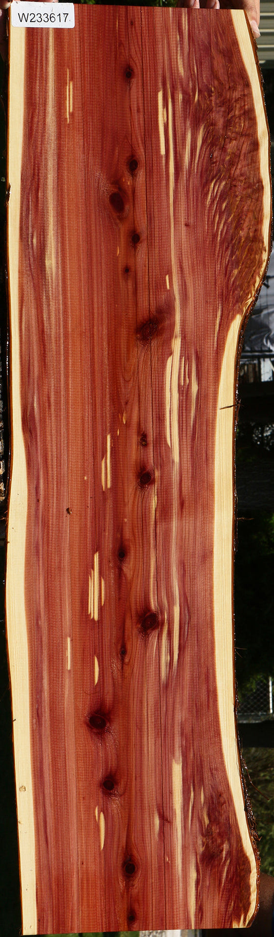 Figured Eastern Red Cedar Live Edge Lumber
