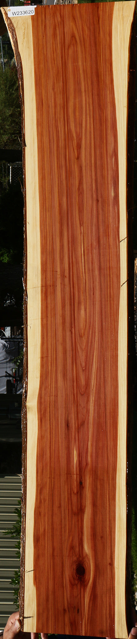 Eastern Red Cedar Live Edge Lumber
