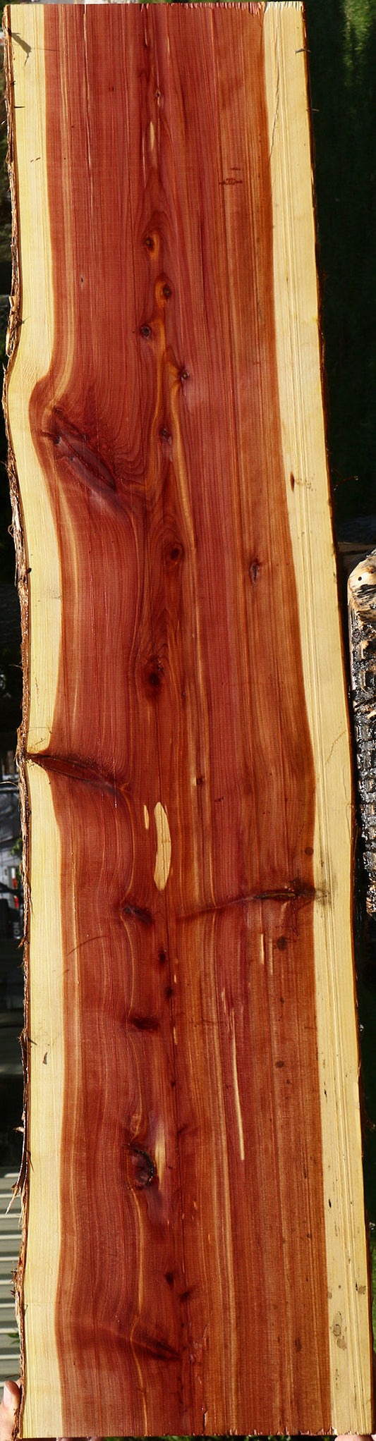 Eastern Red Cedar Live Edge Lumber
