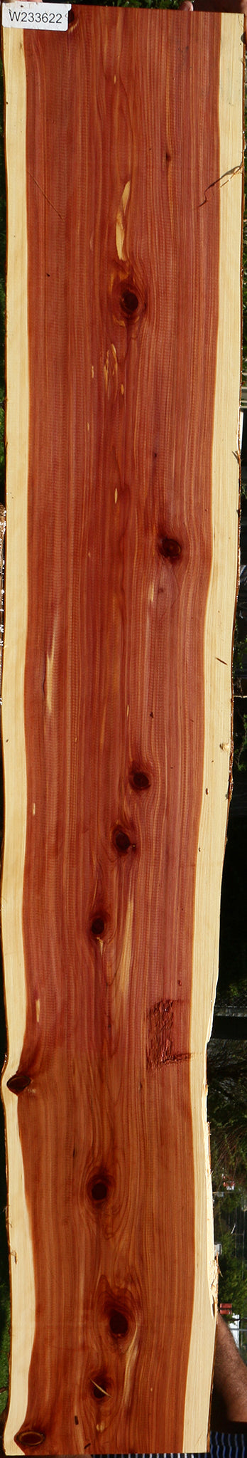 Eastern Red Cedar Live Edge Lumber