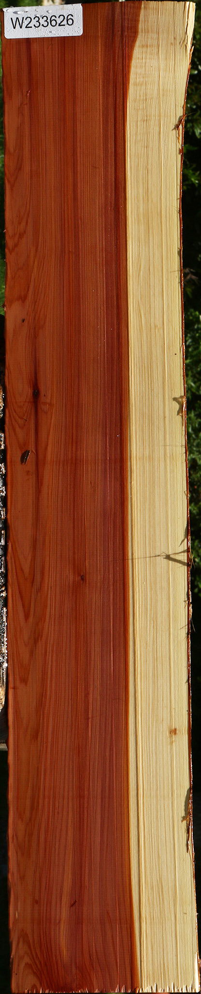 Eastern Red Cedar Live Edge Lumber
