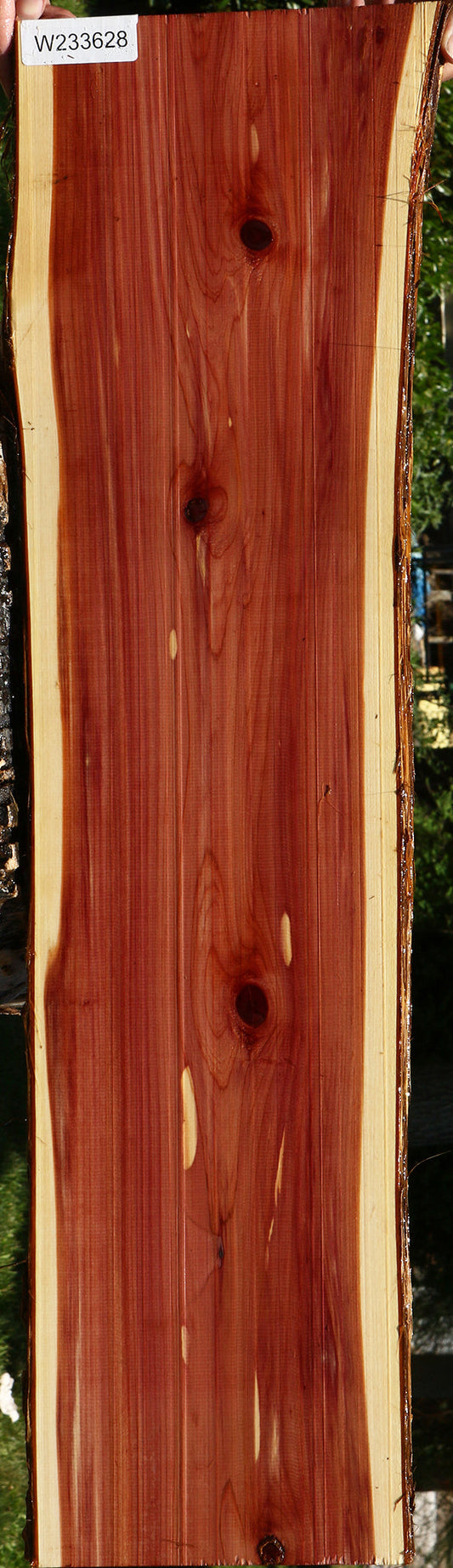 Eastern Red Cedar Live Edge Lumber