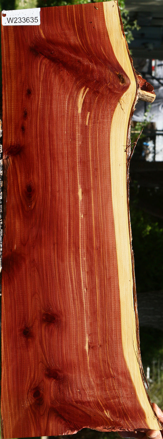 Eastern Red Cedar Live Edge Lumber