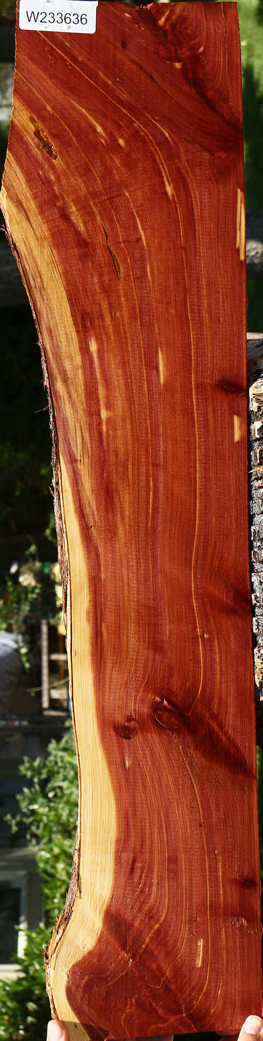 Figured Eastern Red Cedar Live Edge Lumber