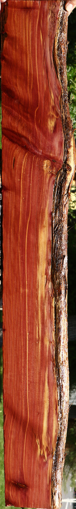 Eastern Red Cedar Live Edge Lumber