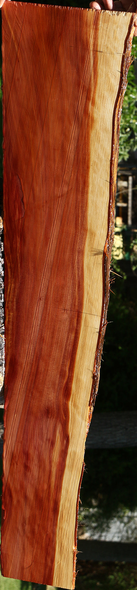 Figured Eastern Red Cedar Live Edge Lumber
