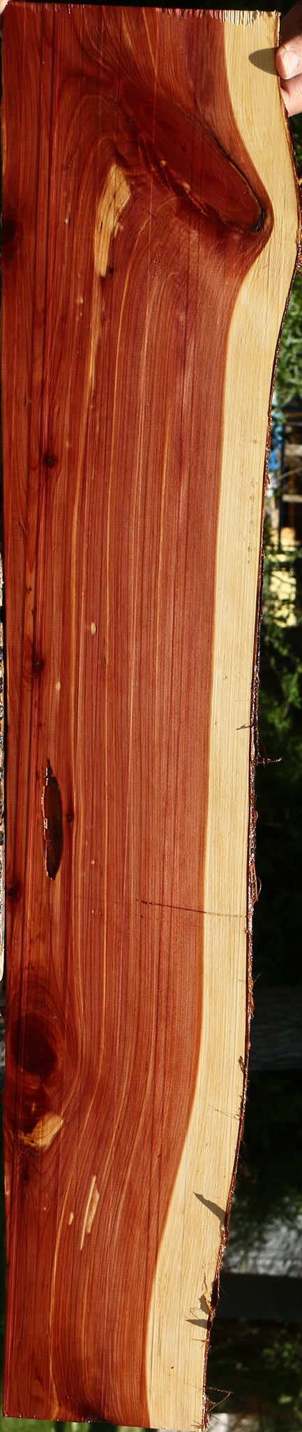Eastern Red Cedar Live Edge Lumber