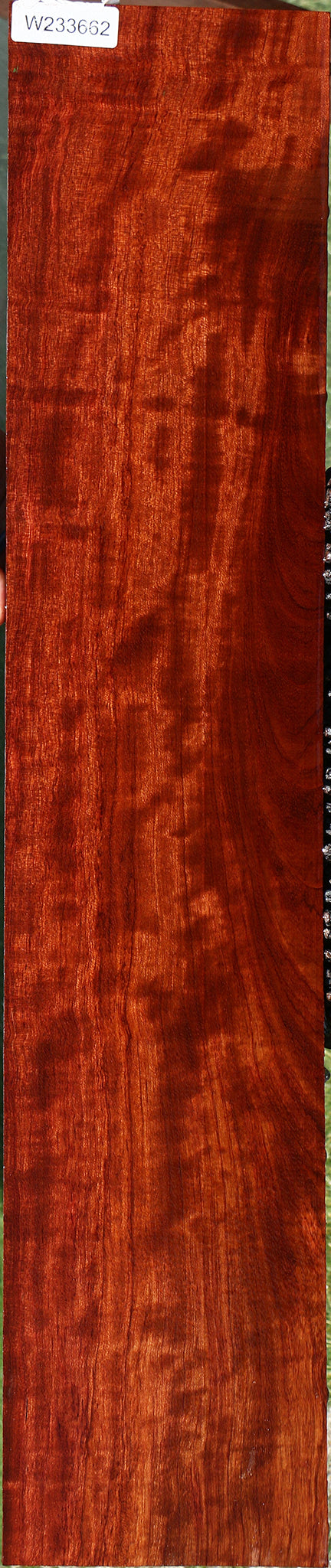 Figured Bubinga Lumber