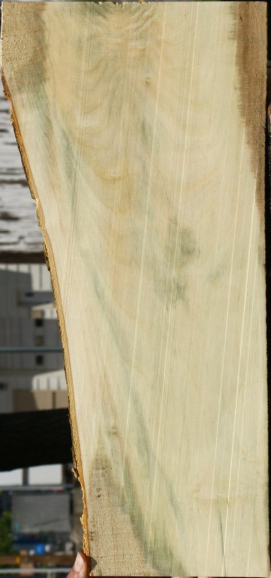 Holly Live Edge Lumber