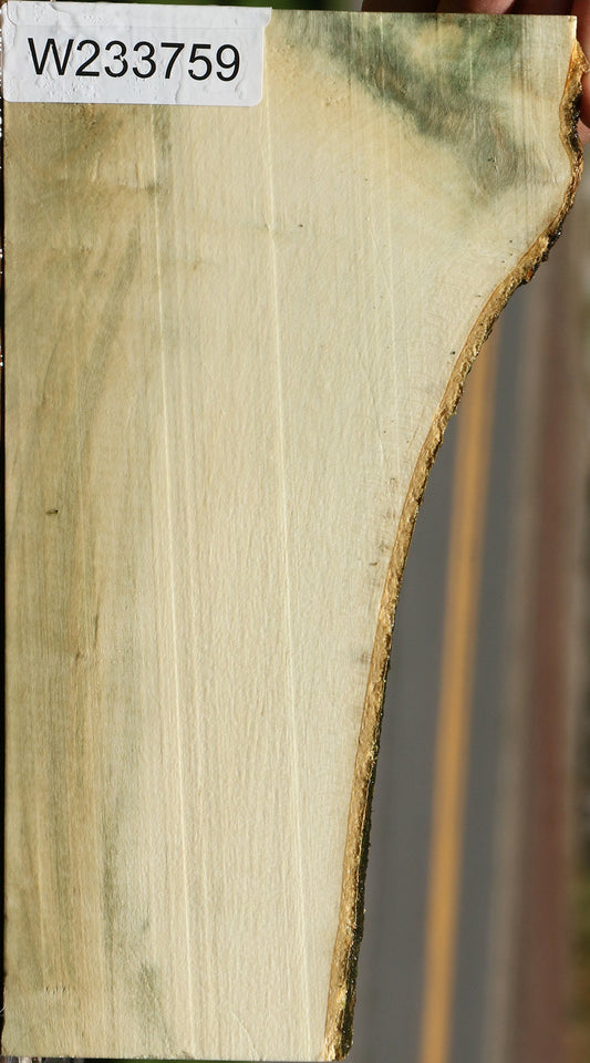 Holly Live Edge Lumber