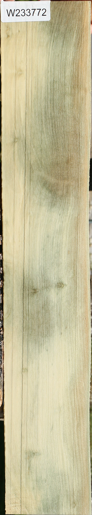 Holly Micro Lumber